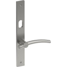 LAGUNA Door Handle on B02  INTERNAL Australian Standard Backplate with Cylinder Hole, Visible Fixing (Half Set) 64mm CTC in Satin Stainless