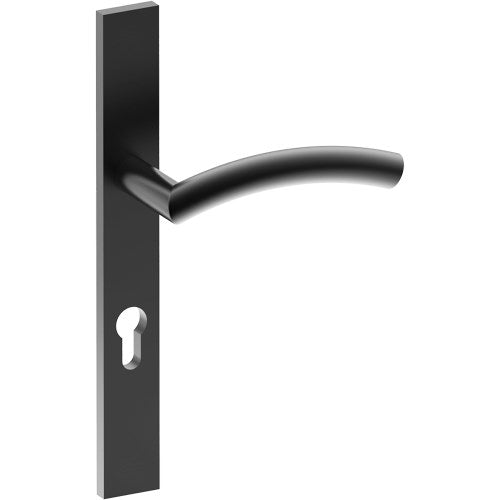 TRIESTE Door Handle on B02 EXTERNAL European Standard Backplate with Cylinder Hole, Concealed Fixing (Half Set) 85mm CTC in Black Teflon
