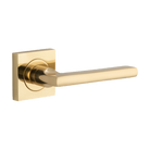 Door Lever Baltimore Square Rose Pair Polished Brass H52xW52xP55mm 
(Latch/Lock Sold Separately) in Polished Brass