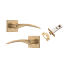 Door Lever Oxford Square Rose Pair Brushed Brass H52xW52xP64mm Passage Kit, Tube Latch Split Cam 'T' Striker Brushed Brass Backset 60mm in Brushed Brass