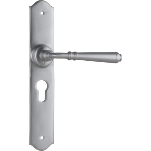 Pair of Tradco Reims lever door handles on long backplates, featuring a stylish lever design in a natural finish.