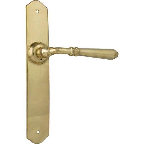 Pair of Tradco Reims lever door handles on long backplates, featuring a sleek, modern design in a brushed finish.
