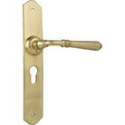 Door Lever Reims Euro Pair Polished Brass H240xW40xP70mm in Polished Brass