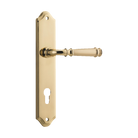 Door Lever Verona Shouldered Euro Polished Brass CTC85mm H240xW50xP59mm in Polished Brass