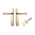Door Lever Verona Oval Latch Polished Brass H240xW40xP59mm Passage Kit Tube Latch Split Cam 'T' Striker Polished Brass Backset 60mm in Polished Brass