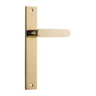 Door Lever Bronte on Long Backplate Polished Brass H240xW38xP56mm in Polished Brass