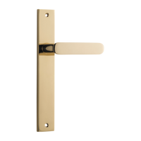 Door Lever Bronte on Long Backplate Polished Brass H240xW38xP56mm in Polished Brass