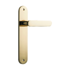 Door Lever Bronte on Long Backplate Polished Brass H240xW40xP56mm in Polished Brass