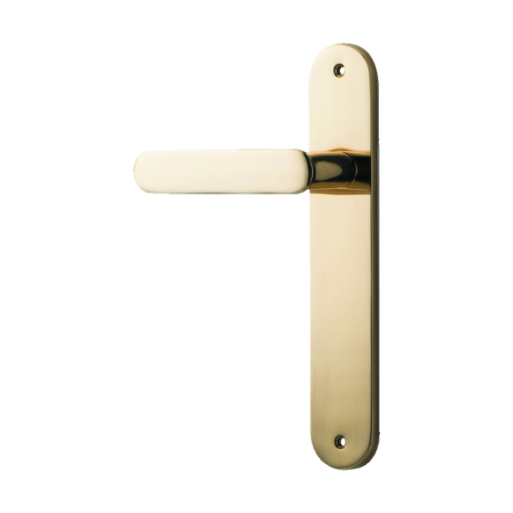 Door Lever Bronte Oval Latch Left Hand Fixed Polished Brass L117xP53mm BPH240xW40mm in Polished Brass