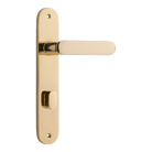 Door Lever Bronte Oval Privacy Polished Brass CTC85mm H240xW40xP56mm in Polished Brass