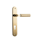 Pair of Iver Berlin lever door handles on oval backplates, polished metal finish, mounted on a door for easy grip and stylish look.