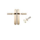 Pair of Iver Berlin lever door handles on oval backplates, featuring a sleek, modern design in a polished finish.