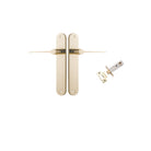 Door Lever Como Oval Polished Brass L119xP59mm BPH240xW40mm Passage Kit Tube Latch Split Cam 'T' Striker Polished Brass Backset 60mm in Polished Brass