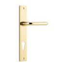 Pair of Iver Oslo Lever handles on rectangular backplates, architectural hardware for doors, in a sleek modern design.