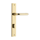 Pair of Iver Oslo Lever handles on rectangular backplates, architectural hardware for doors, with a sleek modern design.