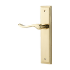 Door Lever Stirling Stepped Latch Left Hand Fixed Polished Brass L116xP65mm BPH237xW50mm in Polished Brass