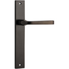Door Lever Annecy on Long Backplate Signature Brass H237xW50xP65mm in Signature Brass