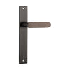 Door Lever Bronte on Long Backplate Signature Brass H240xW38xP56mm in Signature Brass