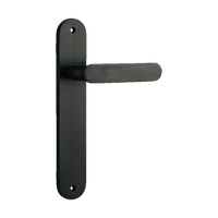 Door Lever Bronte  on Long Backplate Signature Brass H240xW40xP56mm in Signature Brass