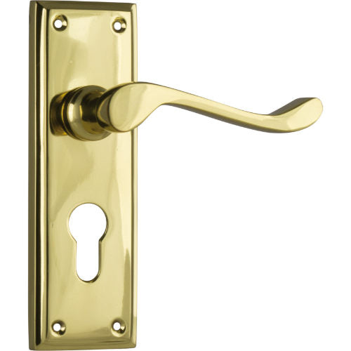 Door Lever Camden Euro Pair Polished Brass H152xW50xP60mm in Polished Brass