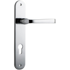 Pair of Iver Annecy lever handles on oval backplates, showcasing elegant brushed nickel finish and modern hardware design.