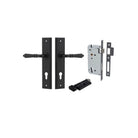 Pair of Iver Sarlat lever door handles with stepped backplate, featuring a sleek, modern design and polished finish.