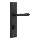 Pair of Iver Sarlat lever handle door handles on stepped backplates, showcasing polished metal finish and elegant design.