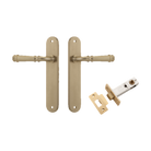 Door Lever Verona Oval Latch Brushed Brass H240xW40xP59mm Passage Kit Tube Latch Split Cam 'T' Striker Brushed Brass Backset 60mm in Brushed Brass