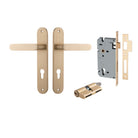 Pair of Iver Bronte lever door handles with oval backplates, featuring a sleek, modern finish and elegant design.