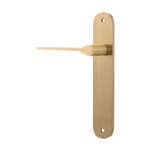 Door Lever Como Oval Latch Left Hand Fixed Brushed Brass L119xP59mm BPH240xW40mm in Brushed Brass