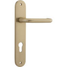 Door Lever Oslo Oval Euro Brushed Brass CTC85mm H230xW40xP57mm in Brushed Brass