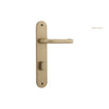 Door Lever Oslo Oval Privacy Brushed Brass CTC85mm H230xW40xP57mm in Brushed Brass