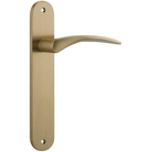 Door Lever Oxford Oval Latch Brushed Brass H237xW50xP60mm in Brushed Brass