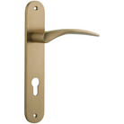 Door Lever Oxford Oval Euro Brushed Brass CTC85mm H237xW50xP60mm in Brushed Brass