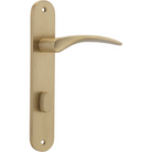 Door Lever Oxford Oval Privacy Brushed Brass CTC85mm H237xW50xP60mm in Brushed Brass