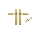 Pair of Iver Berlin lever door handles on oval backplate, polished brass finish, stylish and modern hardware for interior doors.