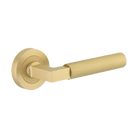 Door Lever Berlin Rose Round Concealed Fix Pair Brushed Gold PVD L120xP60mm BPD52mm in Brushed Gold PVD