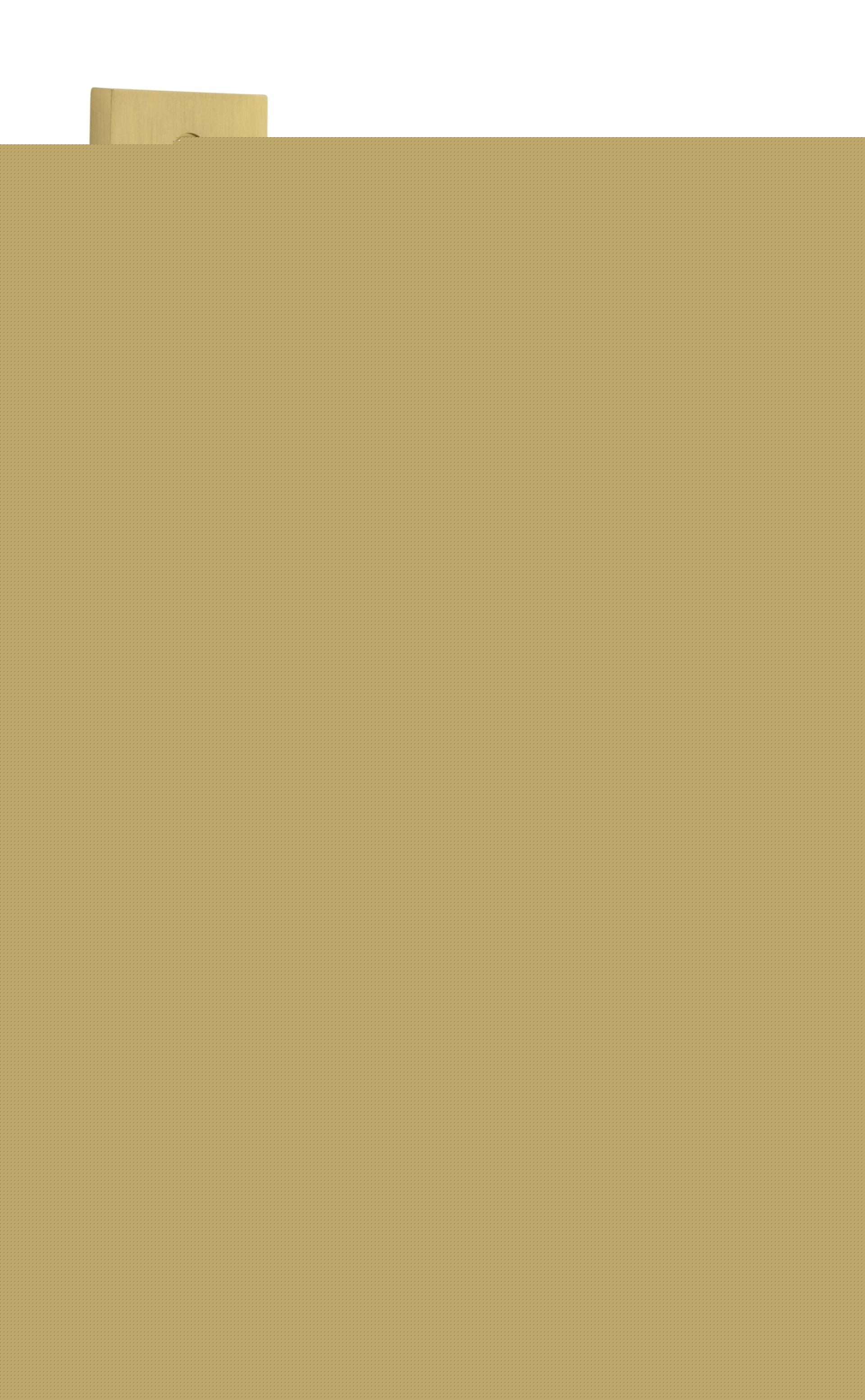 Door Lever Helsinki Rectangular Euro Pair Brushed Gold PVD CTC85mm H240xW38xP44mm in Brushed Gold PVD