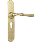 Door Lever Reims Euro Pair Unlacquered Polished Brass H240xW40xP70mm in Unlacquered Polished Brass