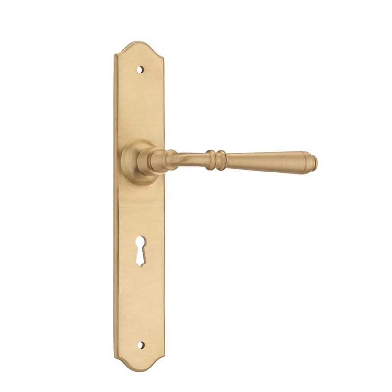 Pair of Tradco Reims Lever on Long Backplate door handles in antique brass finish, showing elegant lever design and long backplate.