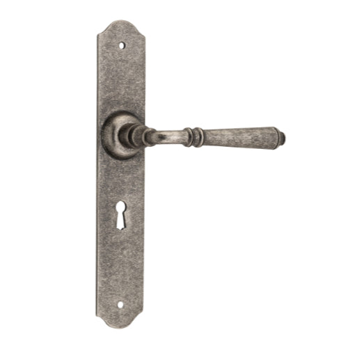 Pair of Tradco Reims Lever on Long Backplate door handles, showing polished brass finish and elegant lever design.