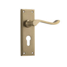 Door Lever Camden Euro Pair Satin Brass H152xW50xP60mm in Satin Brass