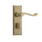 Door Lever Camden Privacy Pair Satin Brass H152xW50xP60mm in Satin Brass