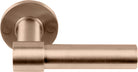 ONE PBL20/50 sprung lever handle on rose PVD light bronze in Light Bronze PVD