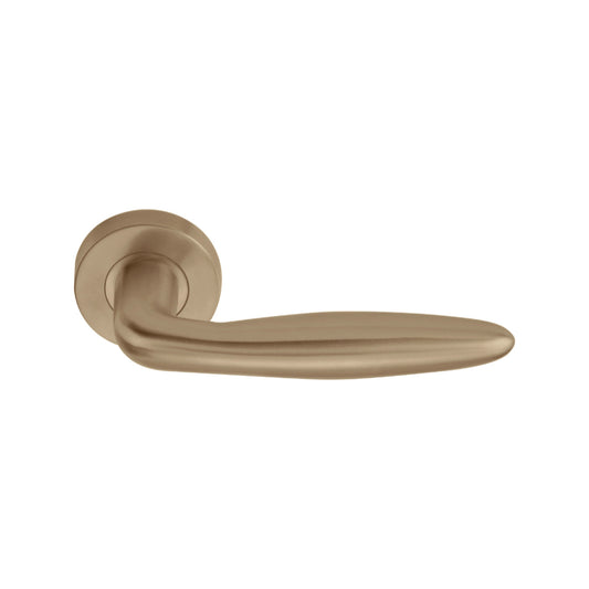 BASICS LB18H sprung lever handle on rose PVD light bronze in Light Bronze PVD