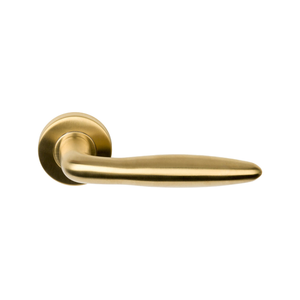 BASICS LB18H sprung lever handle on rose PVD satin gold  in Satin Gold PVD