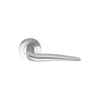 BASICS LB20 solid sprung lever handle on rose satin stainless steel   in Satin Stainless