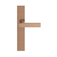 Pair of Formani ARC lever handles with 20mm diameter on rectangular backplates, showcasing sleek modern door hardware.