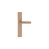 INC PBI101P236SFC unsprung lever handle on blank plate PVD light bronze in Light Bronze PVD