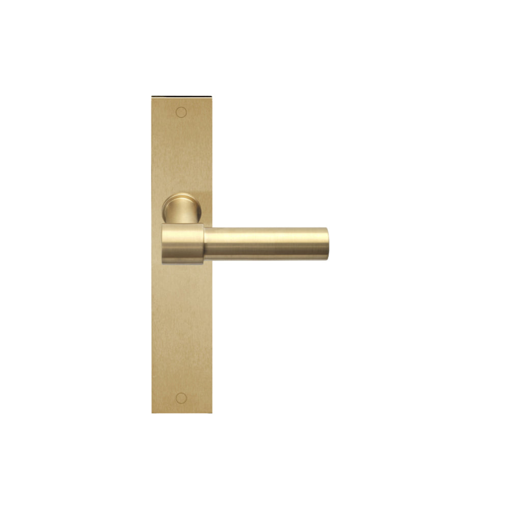 Pair of Formani ONE Lever door handles with 20mm diameter on rectangular plates, shown in polished finish.